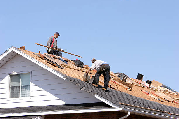 Best Roof Moss and Algae Removal  in Halfway, MD